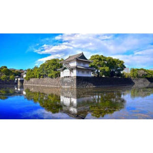 일본 도쿄 : 국가 라이센스 가이드와 함께하는 하루 종일 개인 투어 솔직 후기 | 실사용자 리뷰 분석 - 상품 이미지 2