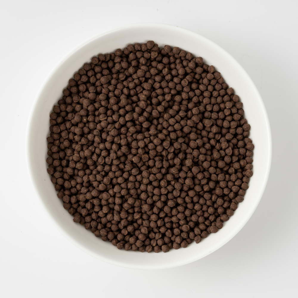 산촌마을 산머루 쥐눈이콩 청국장환 250g 6+2통(4개월분) 아토피 건선 면역력 임산부 - 상세 이미지 4