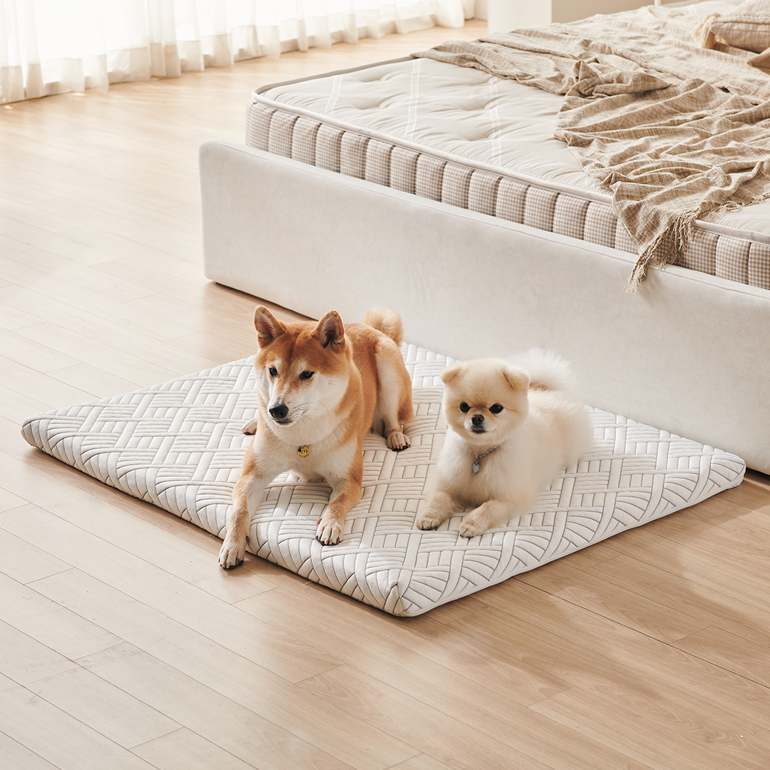 꽁떼떼 강아지 메모리폼 매트리스 쿠션 중대형견 침대 듀라론/화이트, M사이즈