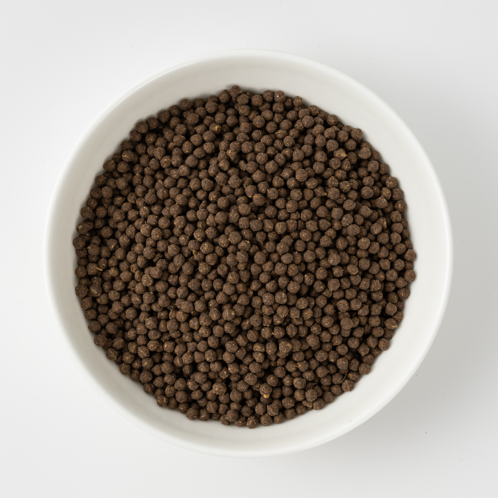 산촌마을 민들레 쥐눈이콩 청국장환 250g 6+2(4개월분) 발효환 염증 갱년기 부모님선물 - 상세 이미지 4