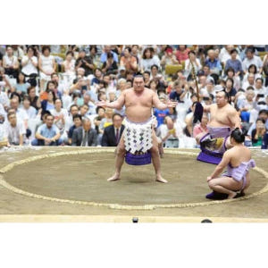 일본 도쿄 그랜드 스모 토너먼트 투어 솔직 후기 | 실사용자 리뷰 분석 - 상품 이미지 2