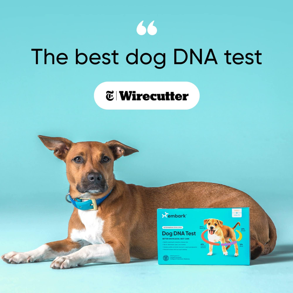 Embark 강아지 DNA 검사 키트 혈통 400개 견종 270가지 질병 이미지 7