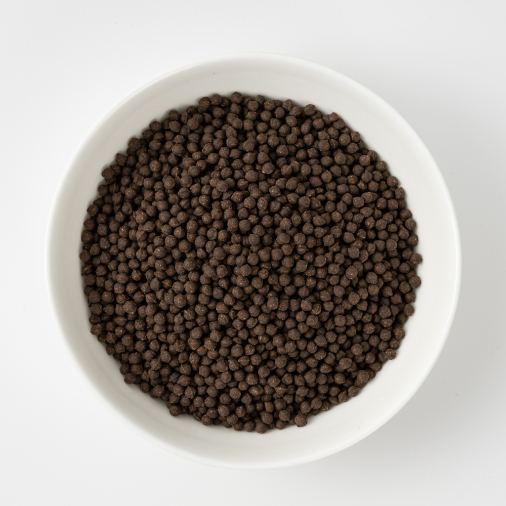 산촌마을 슬림 쥐눈이콩 청국장환 250g 6+2통(4개월분) 노폐물 독소제거 다이어트 한약 - 상세 이미지 4