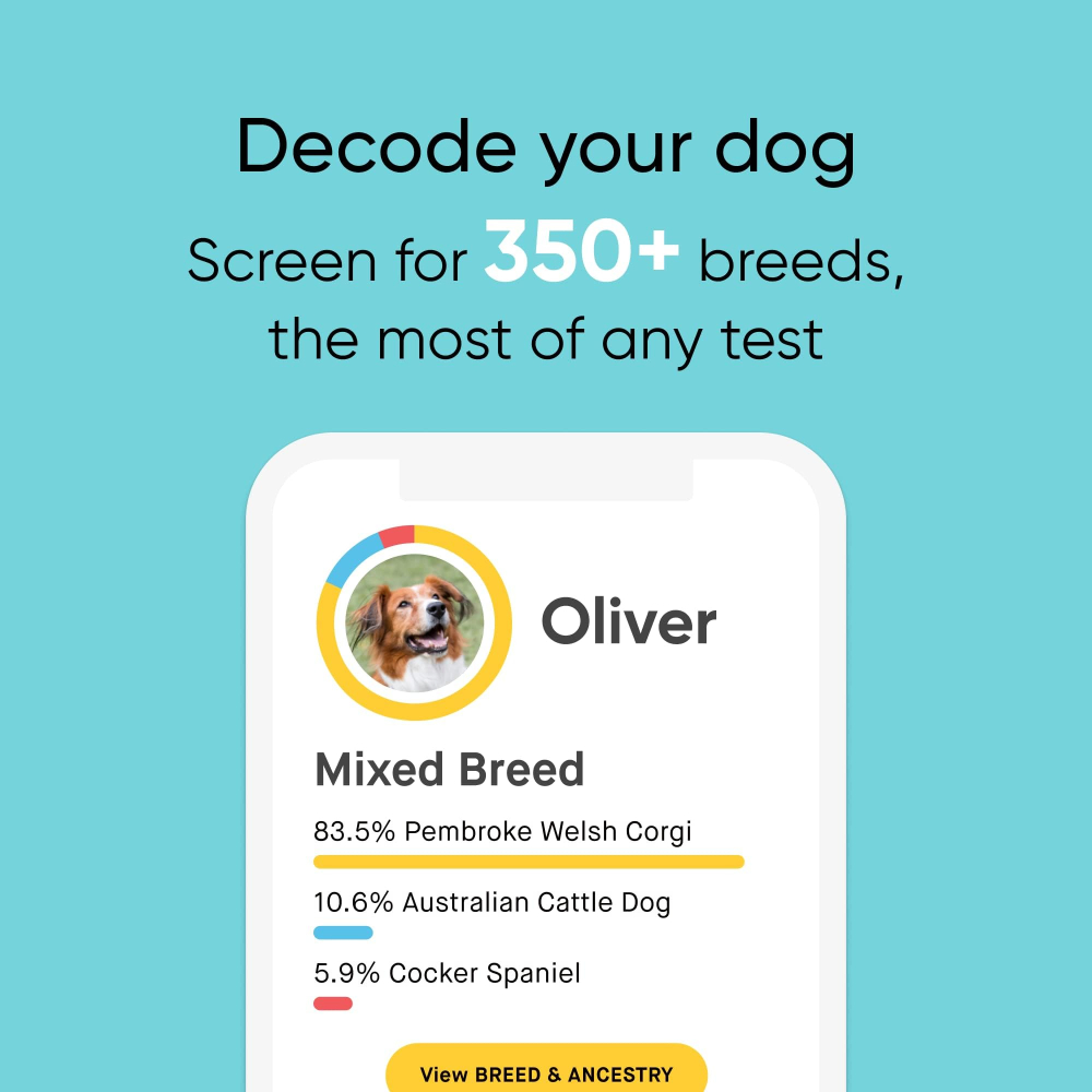 Embark 강아지 DNA 검사 키트 혈통 400개 견종 270가지 질병 - 상세 이미지 2