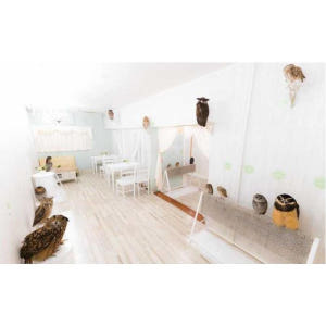 일본 도쿄: 아키하바라의 올빼미 카페에서 올빼미를 만나다 솔직 후기 | 실사용자 리뷰 분석 - 상품 이미지 2