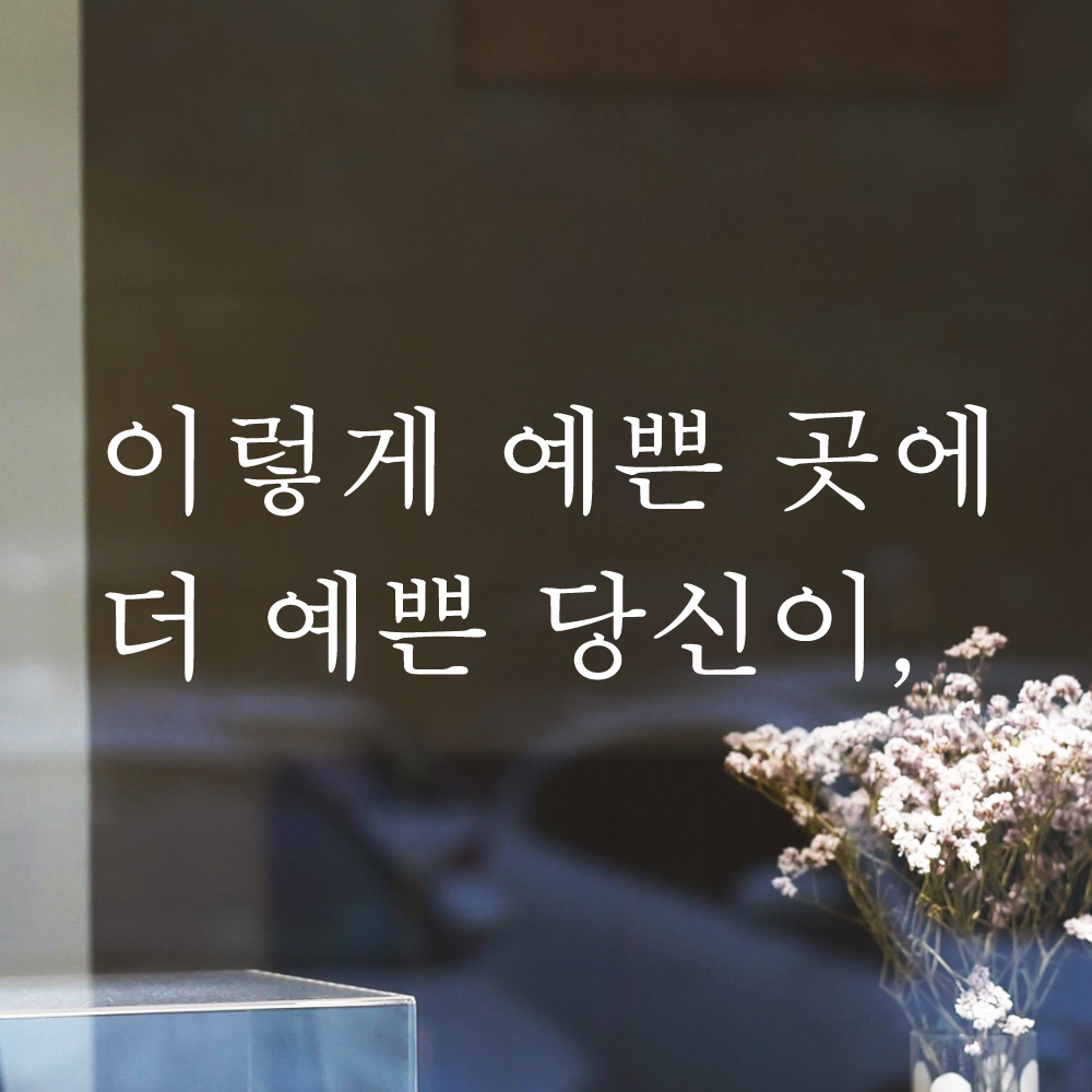 감성 글귀 레터링 스티커 이렇게 예쁜 곳에 더 예쁜 당신이 매장 포토존 카페 펜션 커피숍 L-047S 검정 이미지 6