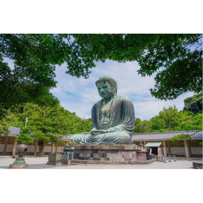 일본 가마쿠라: 현지 가이드와 함께하는 다이부츠 하이킹 트레일 투어 이미지 2