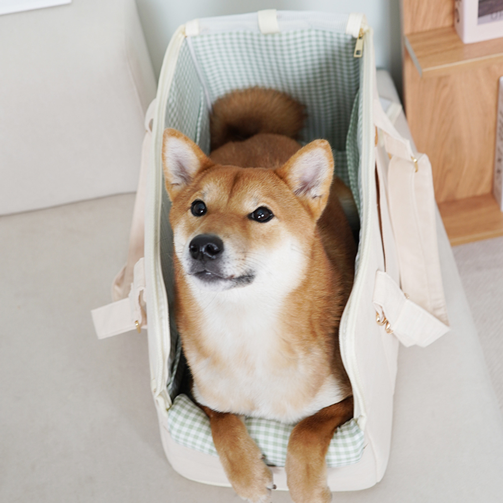 개과천선 베리빅 강아지 이동가방 카시트 고양이 기내용 패브릭 캐리어 메쉬창 대형 이미지 7