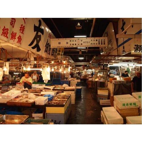 일본 도쿄: 비포장 도로 프라이빗 가이드 투어 솔직 후기 | 실사용자 리뷰 분석 - 대표 이미지