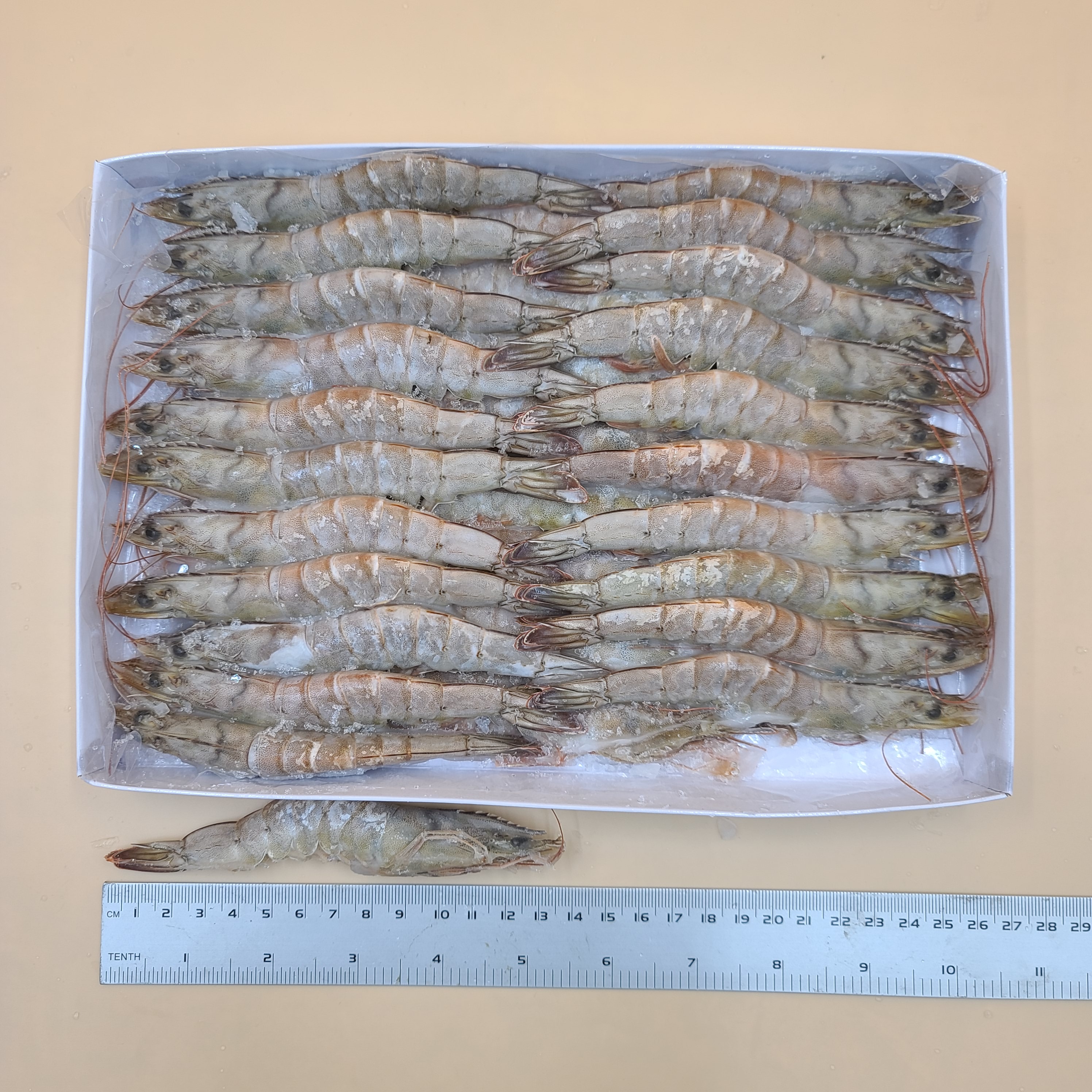특A급 흰다리새우 20미 30미 40미 (500g) 화이트새우 소금구이새우 대하새우 중하새우 - 상세 이미지 2