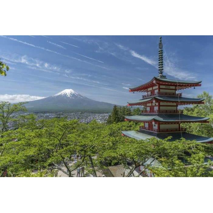 일본 도쿄에서 출발: 가와구치코 호수로의 개인 경치 좋은 당일 여행 이미지 2