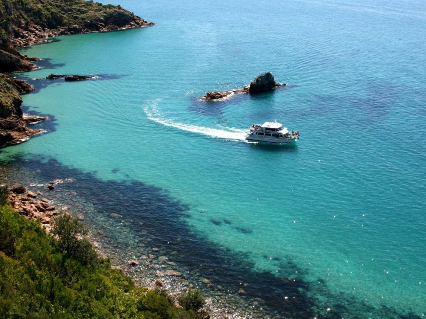 호주 멜버른 필립 아일랜드 케이프 울라마이 크루즈 솔직 후기 | 실사용자 리뷰 분석 - 대표 이미지