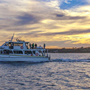 호주  멜버른 필립아일랜드 선셋크루즈 & 생태관광 솔직 후기 | 실사용자 리뷰 분석 - 상품 이미지 3