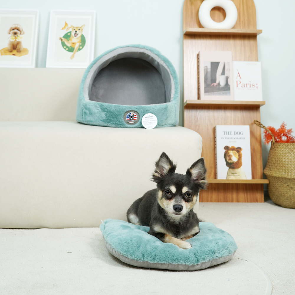 개과천선 제크러 강아지 동글이 하우스 애견 쿠션 동굴집 고양이 숨숨집 논슬립 꿀잠 오픈형 - 상세 이미지 2