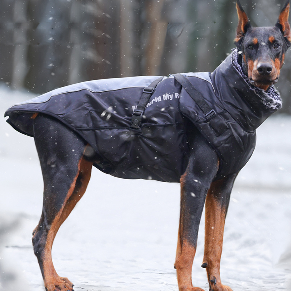 F683 XL 대형견 강아지 패딩조끼 경량 하네스 기모 겨울옷 중형견 진돗개 외출 산책 빅사이즈 방수 아우터