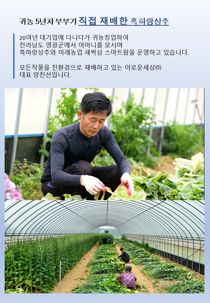 (이로운세상) 흑하랑꿀잠차 락투신골드분말 숙면차 (동결건조)