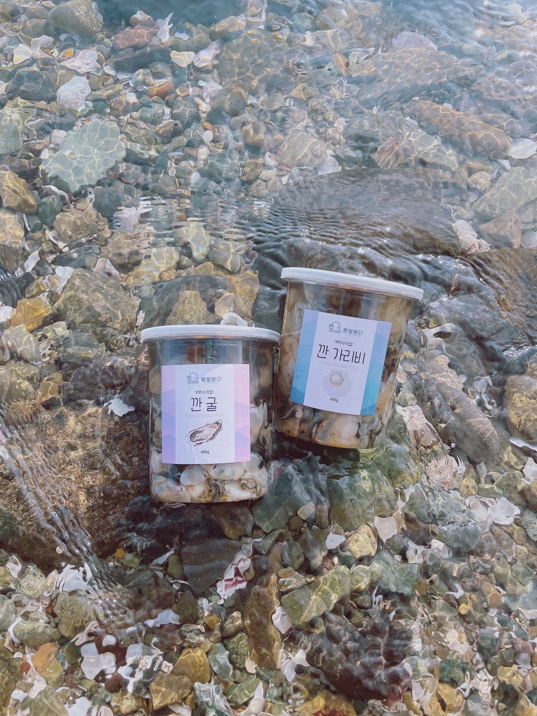 직접키워 더 신선한 (손질세척) 깨끗한 고성 홍가리비1kg 문앞바다