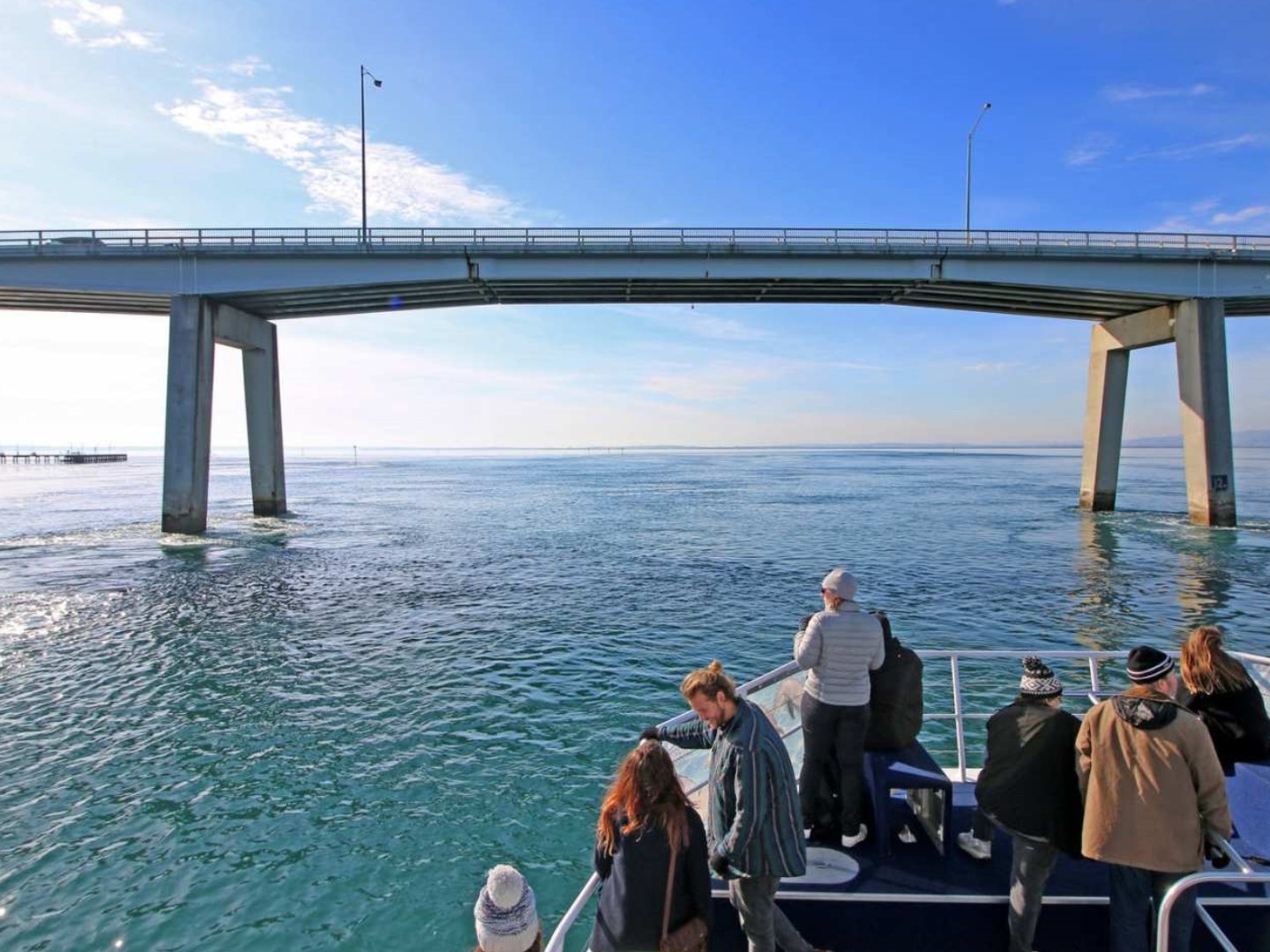 호주 멜버른 필립 아일랜드 케이프 울라마이 크루즈 이미지 3
