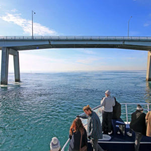 호주 멜버른 필립 아일랜드 케이프 울라마이 크루즈 솔직 후기 | 실사용자 리뷰 분석 - 상품 이미지 3