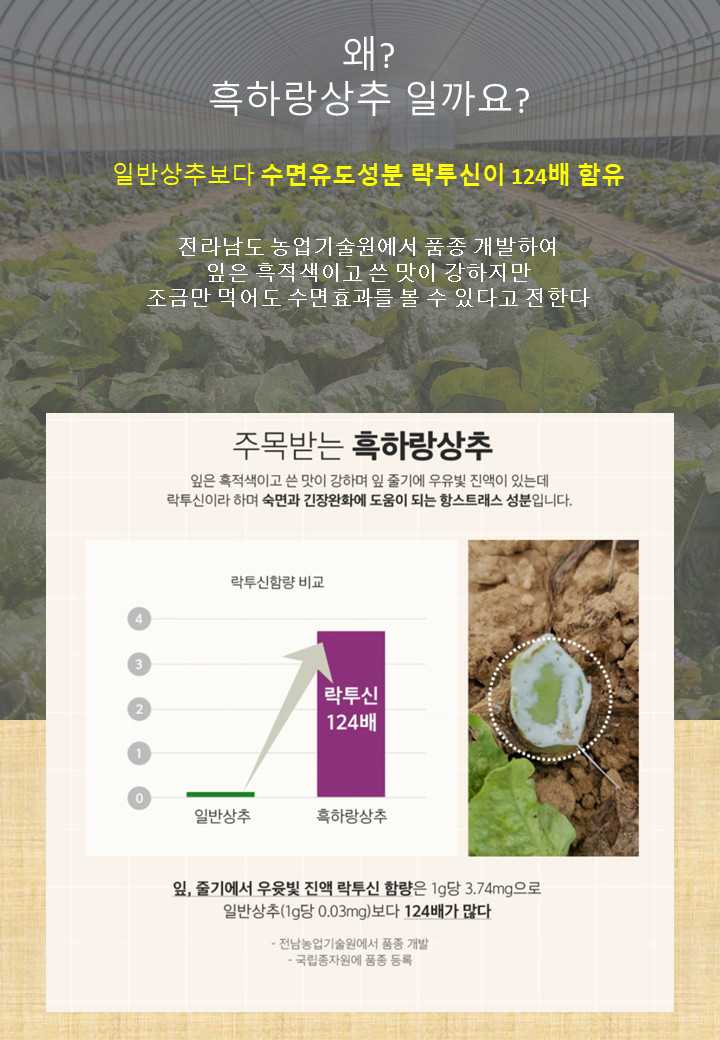 (이로운세상) 흑하랑꿀잠차 락투신골드분말 숙면차 (동결건조)