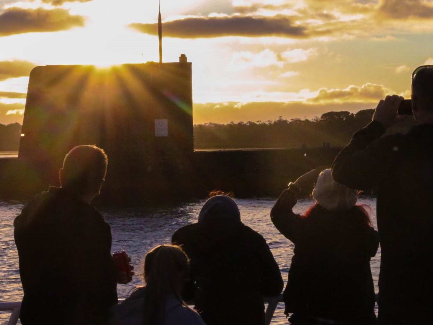 호주 멜버른 필립아일랜드 선셋크루즈 & 생태관광 이미지 2