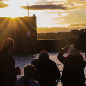 호주  멜버른 필립아일랜드 선셋크루즈 & 생태관광 솔직 후기 | 실사용자 리뷰 분석 - 상품 이미지 2