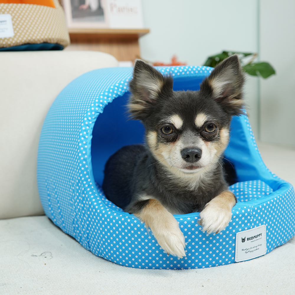 개과천선 스팟 강아지 동글이 하우스 꿀잠 애견 쿠션 숨숨집 고양이 동굴집 논슬립 대형 - 상세 이미지 2