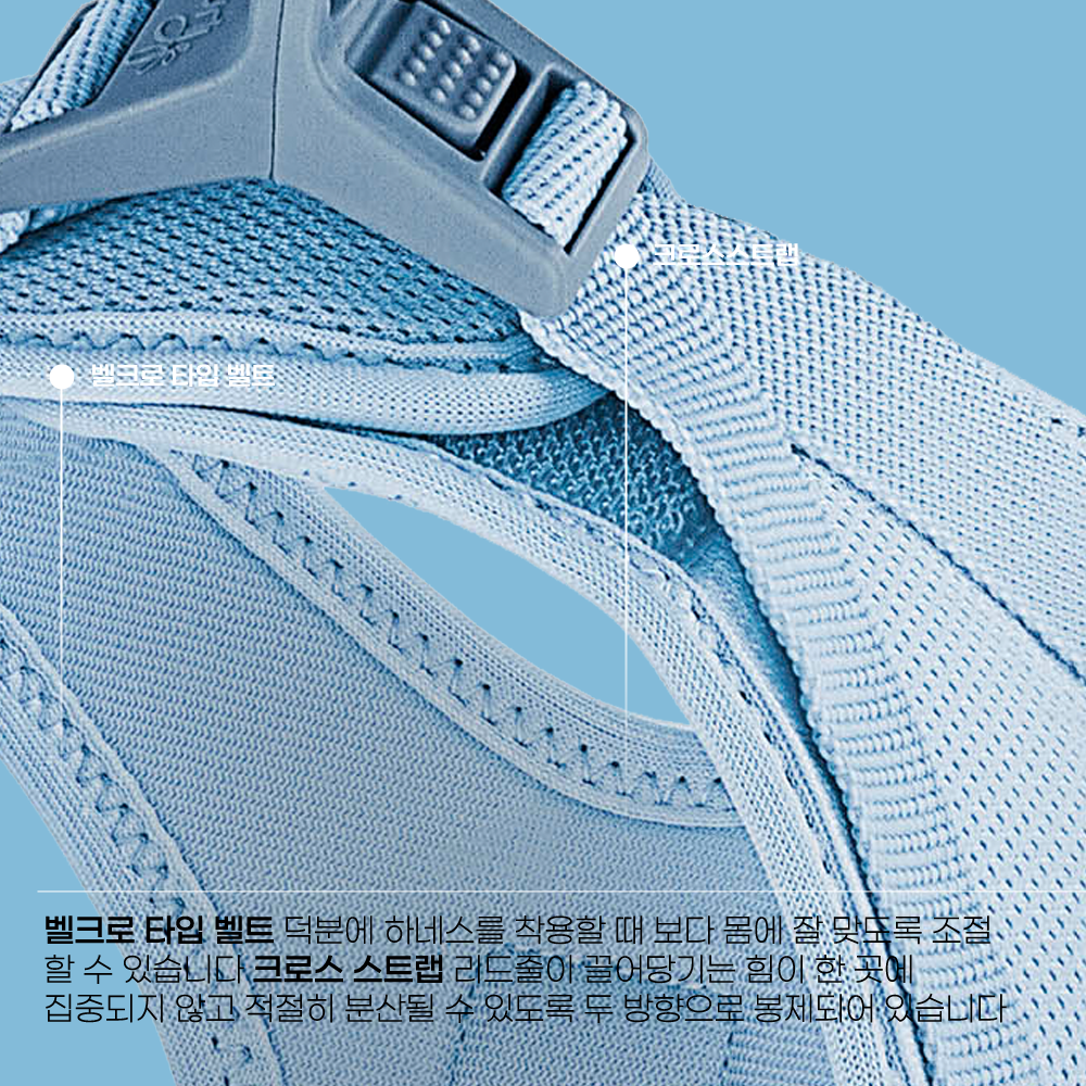 스위스 큘리 시그니쳐 하네스 스카이블루