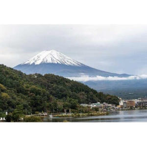 일본 도쿄에서 출발: 가와구치코 호수로의 개인 경치 좋은 당일 여행 솔직 후기 | 실사용자 리뷰 분석 - 상품 이미지 1