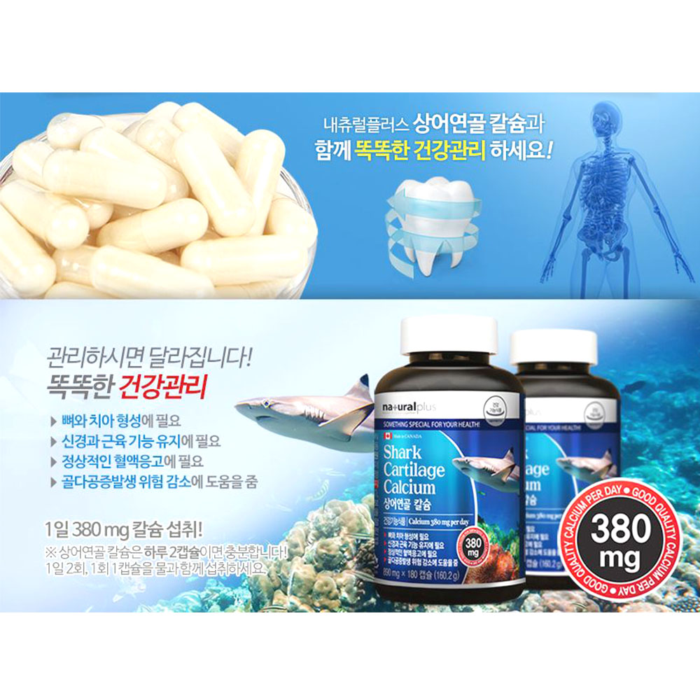 대용량 상어연골 칼슘 180캡슐 치아형성 3개월분 - 상세 이미지 5