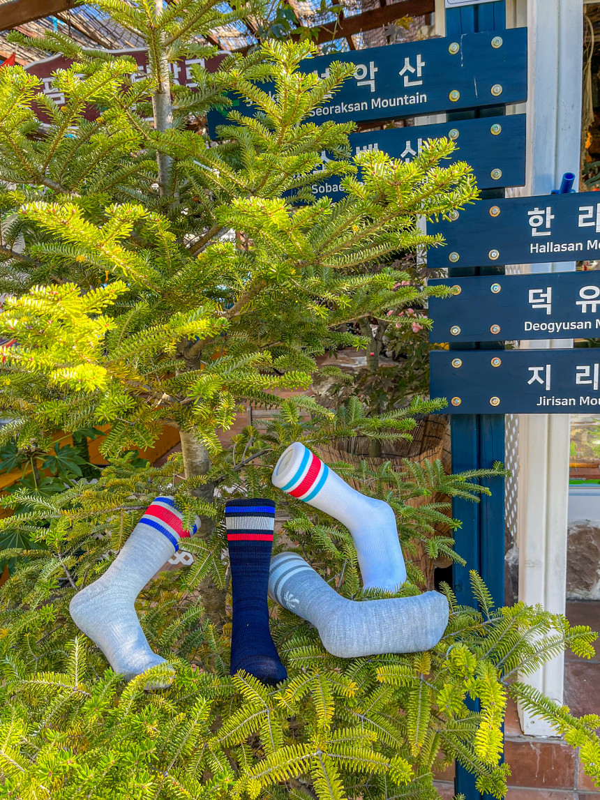 팜트리아웃도어 등산양말 레트로 야자수 메리노울 양말 장목 팜피스 이미지 6