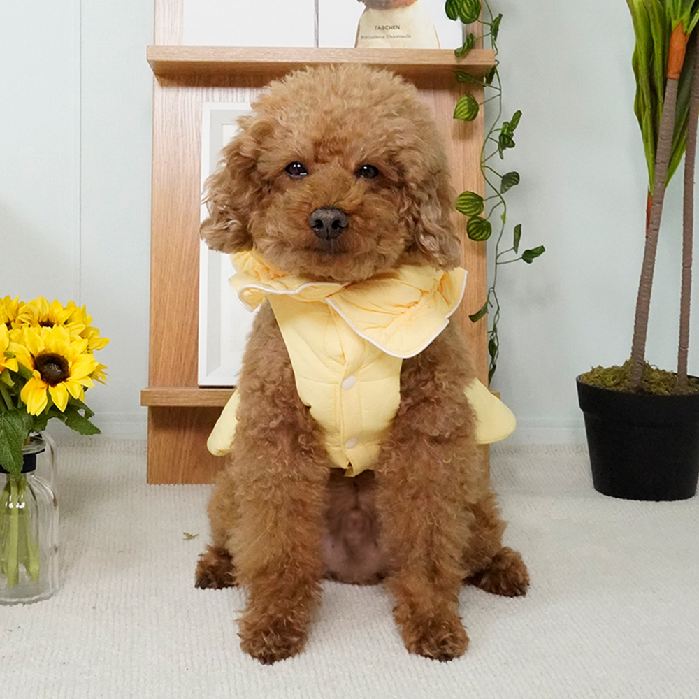 개과천선 솜사탕 패딩 강아지 겨울 잠바 패션 의류 애견 보온 아우터 방풍 리본 레이스 - 상세 이미지 2