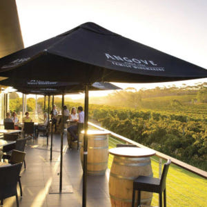 호주 애들레이드 McLaren Vale Hop-On-Hop-Off 버스 ... 솔직 후기 | 실사용자 리뷰 분석 - 상품 이미지 2