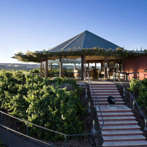 호주 애들레이드 McLaren Vale Hop-On-Hop-Off 버스 ... 솔직 후기 | 실사용자 리뷰 분석 - 상품 이미지 3