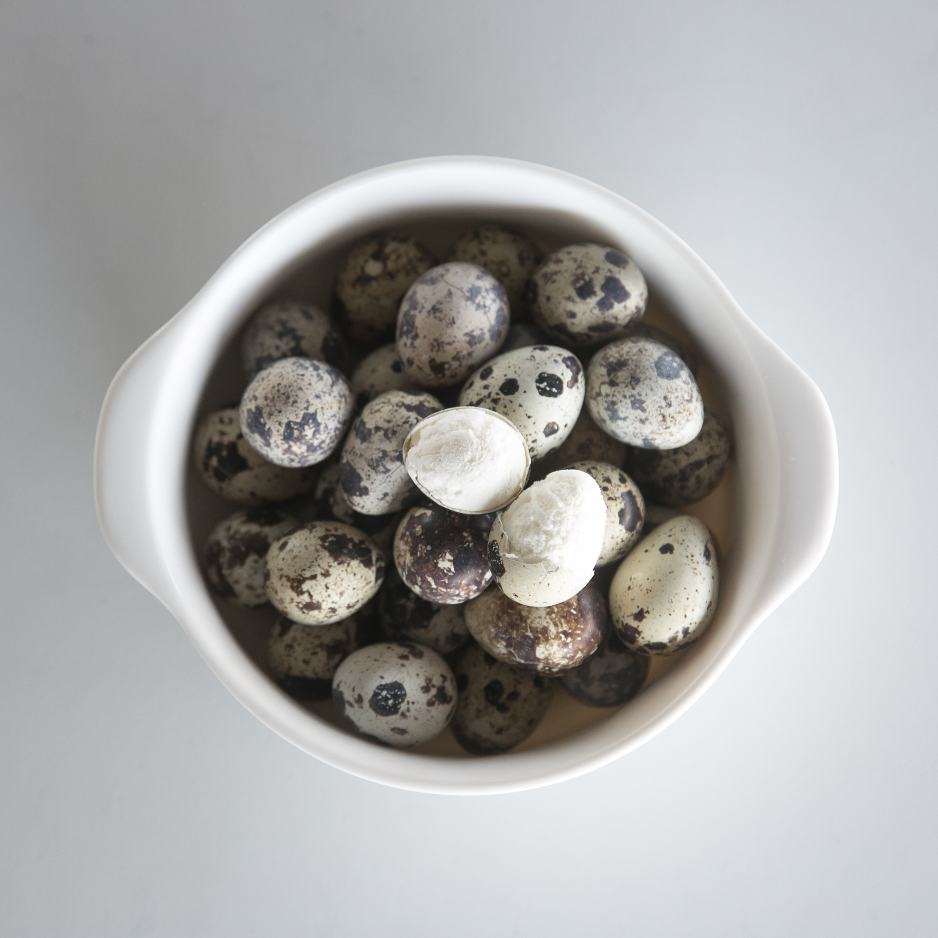 강아지 수제 간식 노견 영양식 사료 토핑 동결 메추리알 20P 1팩