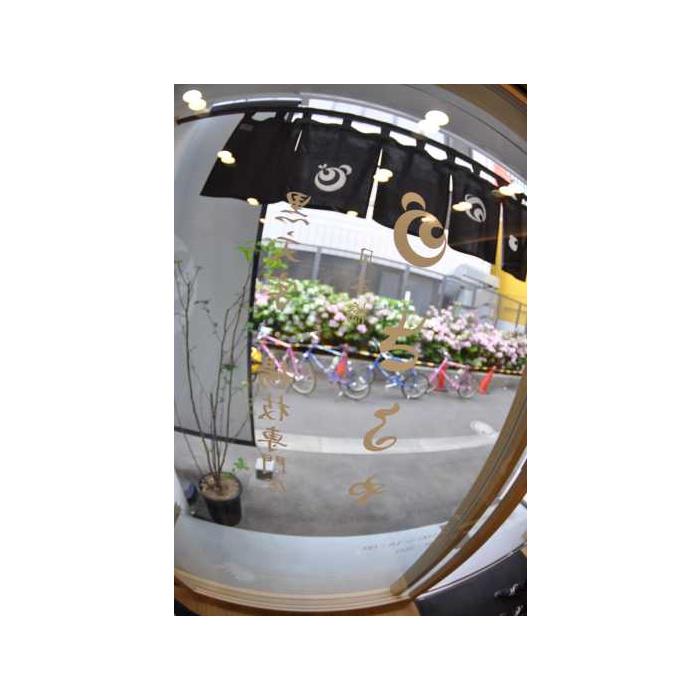 일본 도쿄: 하루 종일 자전거 투어 이미지 3