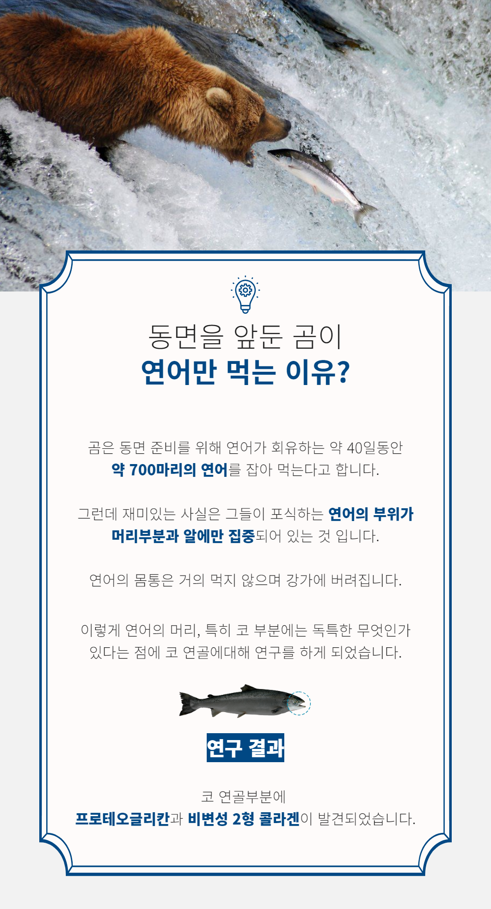 프로테오글리칸 2개월분 연어코연골 추출물 600mg 비변성 2형콜라겐 콘도로이친 브리오웰 - 상세 이미지 5