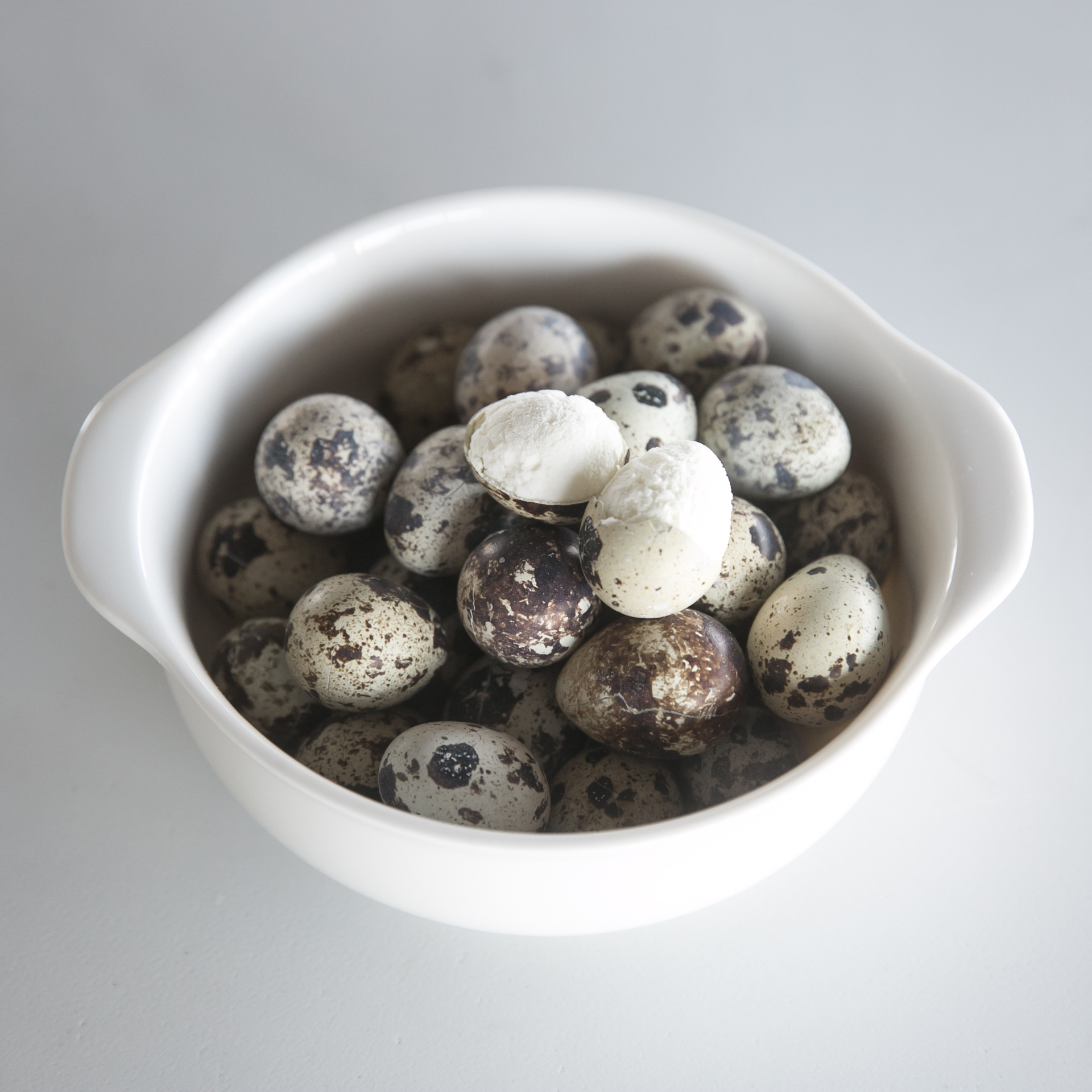 강아지 수제 간식 노견 영양식 사료 토핑 동결 메추리알 20P 1팩