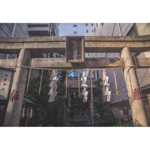 일본 도쿄: 일본 문화의 호기심 워킹 투어 솔직 후기 | 실사용자 리뷰 분석 - 상품 이미지 3