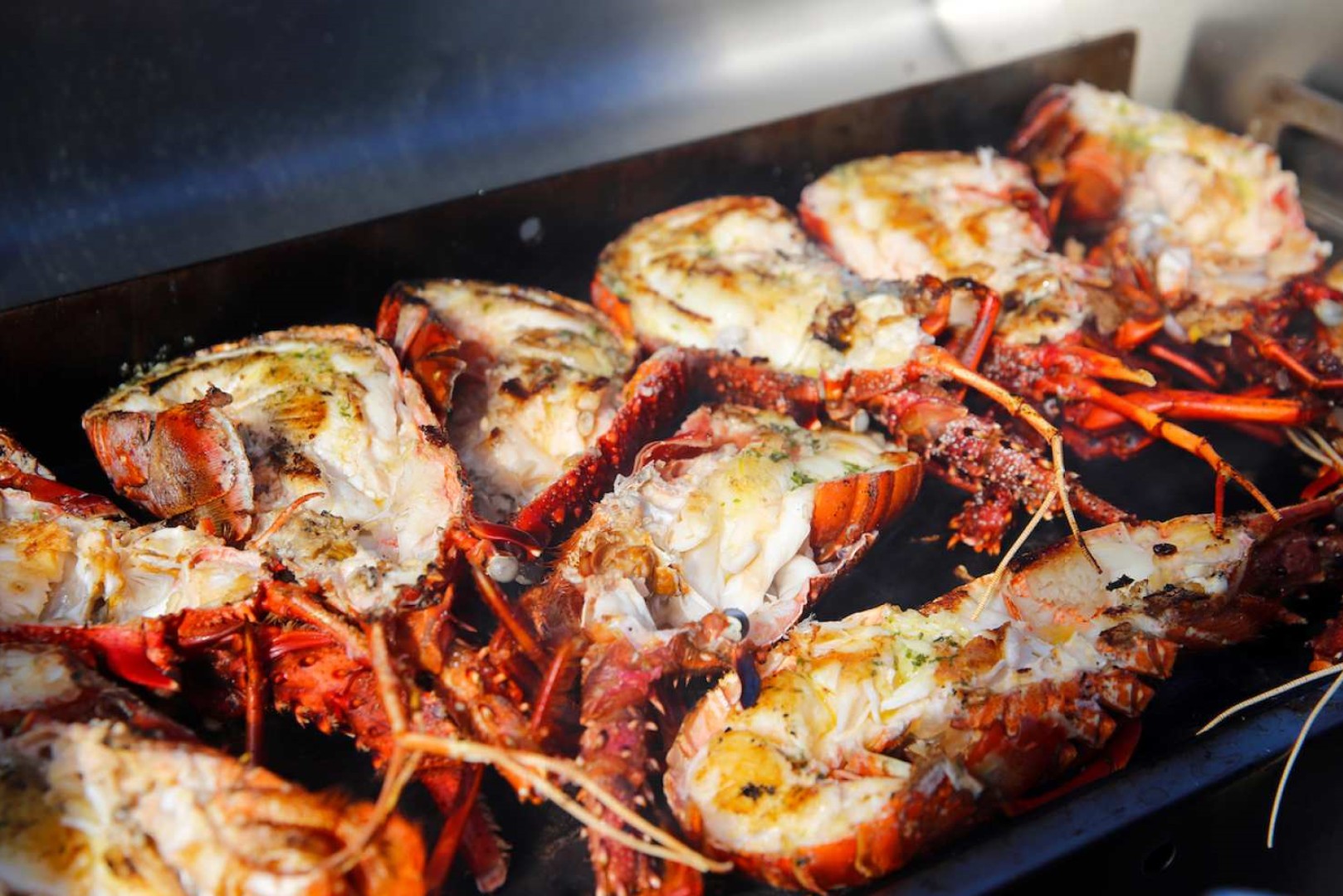 호주 맨두라 만두라 야생 해산물 체험 이미지 2