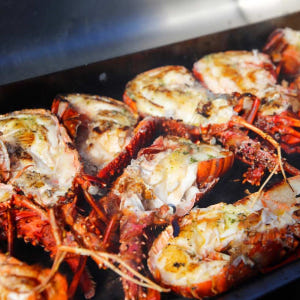 호주 맨두라 만두라 야생 해산물 체험 솔직 후기 | 실사용자 리뷰 분석 - 상품 이미지 2