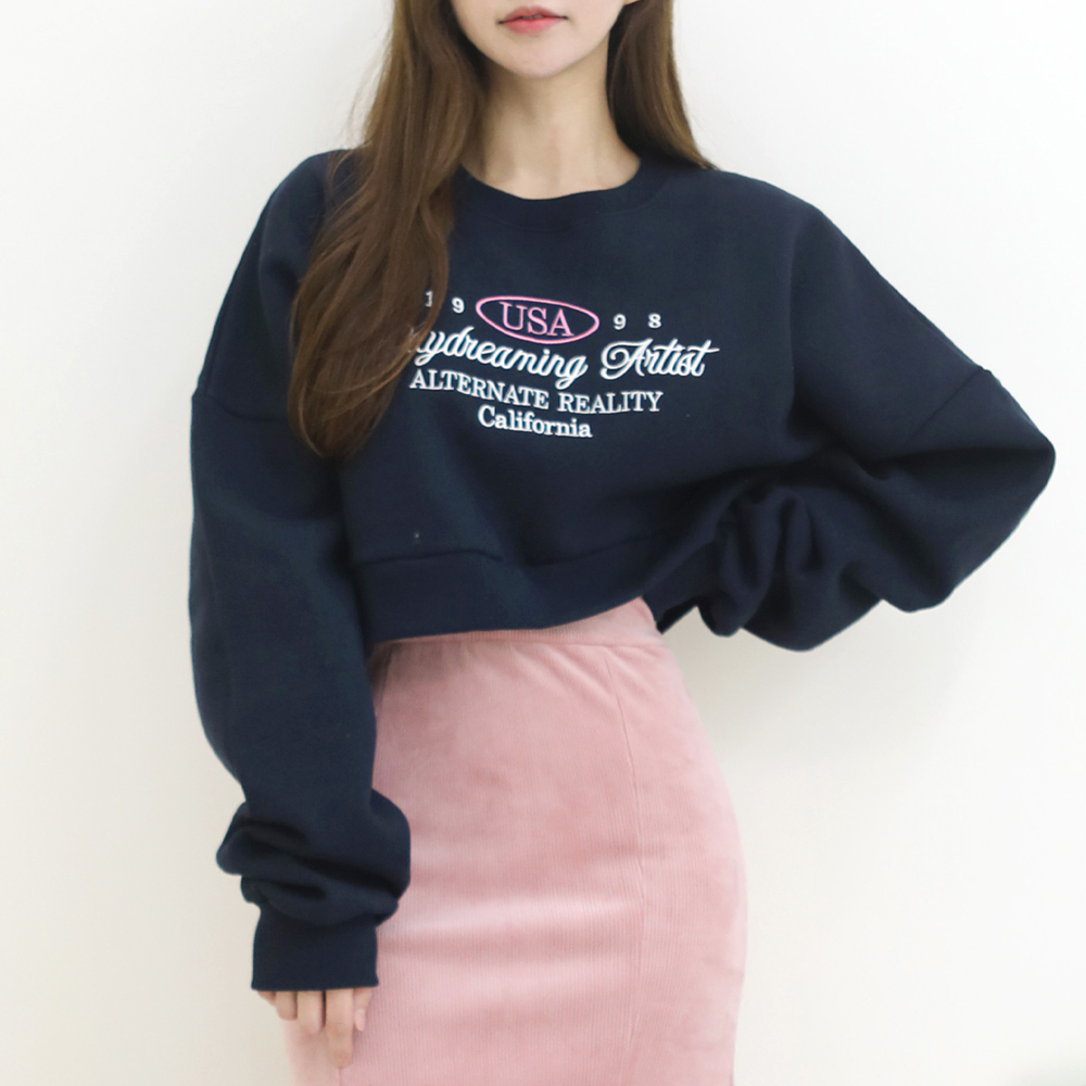 리얼리티 레터링 자수 기모 크롭맨투맨 스웻셔츠 여자긴팔티 - 상품 이미지