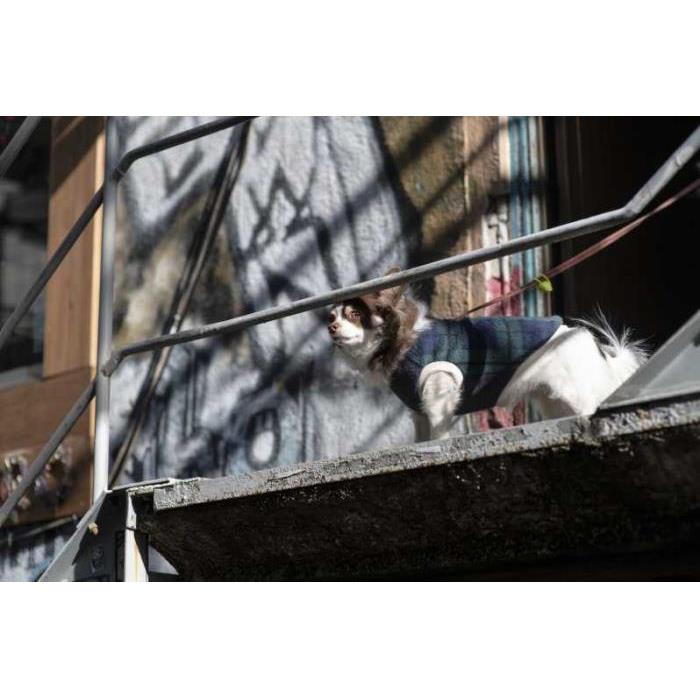 일본 도쿄 시모키타자와 발견: 도쿄의 보헤미안 지역 - 상세 이미지 2