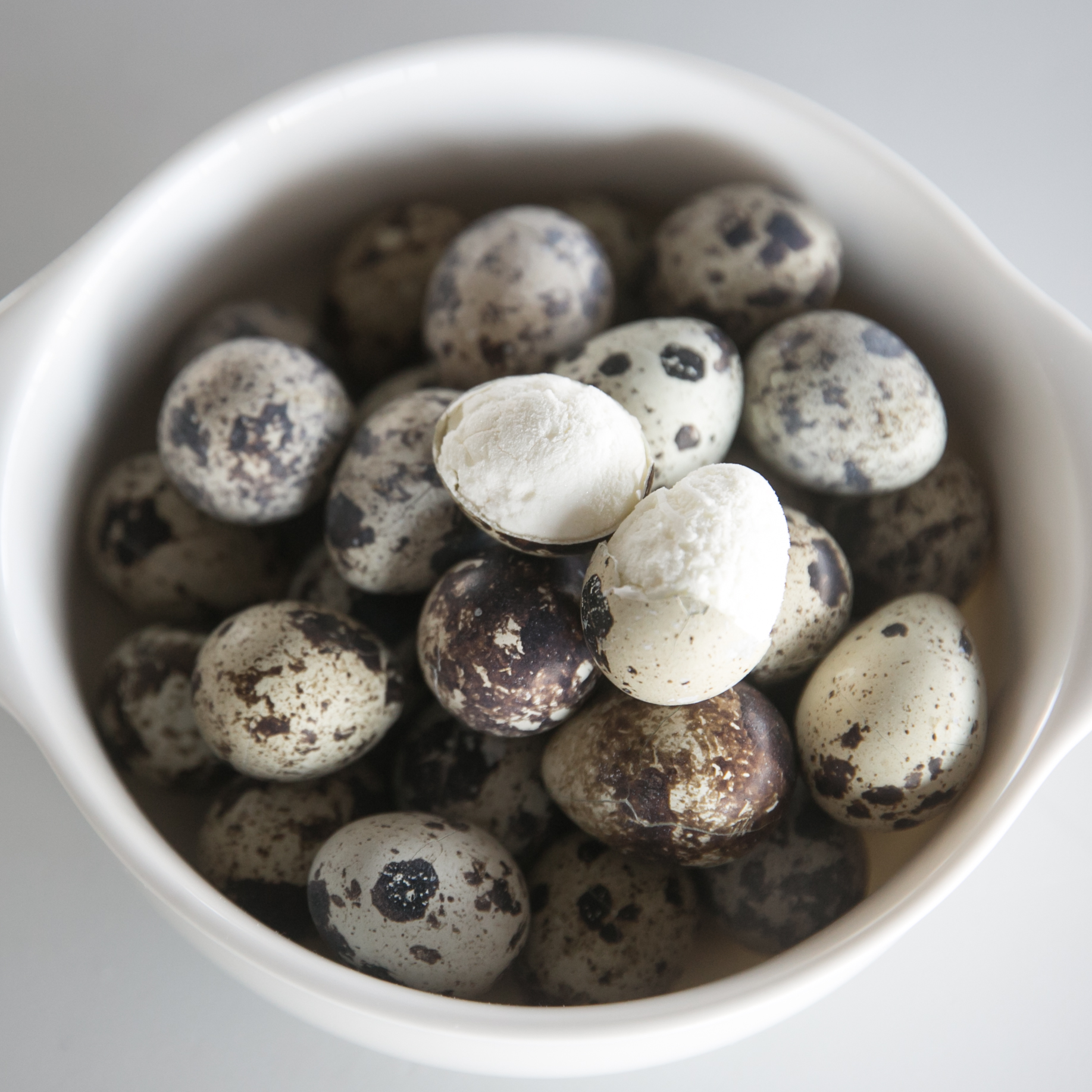 강아지 수제 간식 노견 영양식 사료 토핑 동결 메추리알 20P 1팩