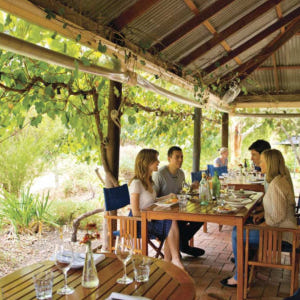 호주 애들레이드 McLaren Vale Hop-On-Hop-Off 버스 ... 솔직 후기 | 실사용자 리뷰 분석 - 상품 이미지 4