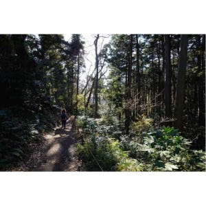 일본 가마쿠라: 현지 가이드와 함께하는 다이부츠 하이킹 트레일 투어 솔직 후기 | 실사용자 리뷰 분석 - 상품 이미지 1