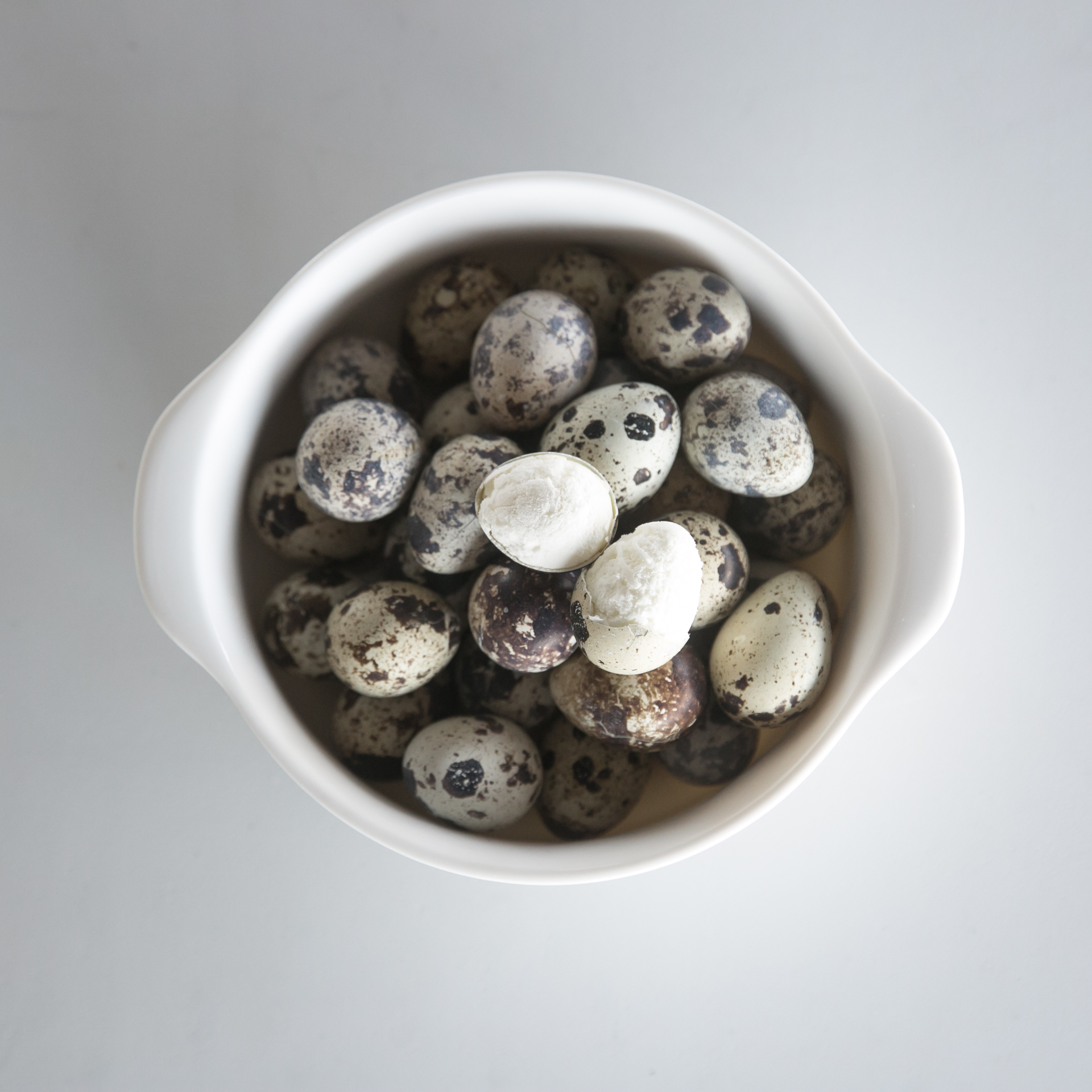 강아지 수제 간식 노견 영양식 사료 토핑 동결 메추리알 20P 1팩