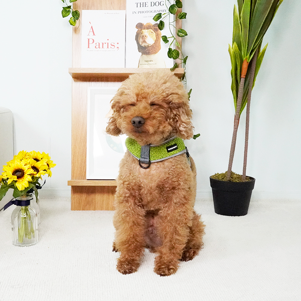 개과천선 턴오프 강아지 하네스 애견 앞섬방지 2중 리드줄 연결 대형견 Y형 빛반사 360 이미지 6