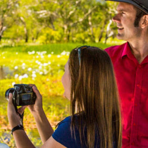 호주 다윈 시티 사이트 투어 & 점핑 크록스 리버 크루즈 솔직 후기 | 실사용자 리뷰 분석 - 상품 이미지 3