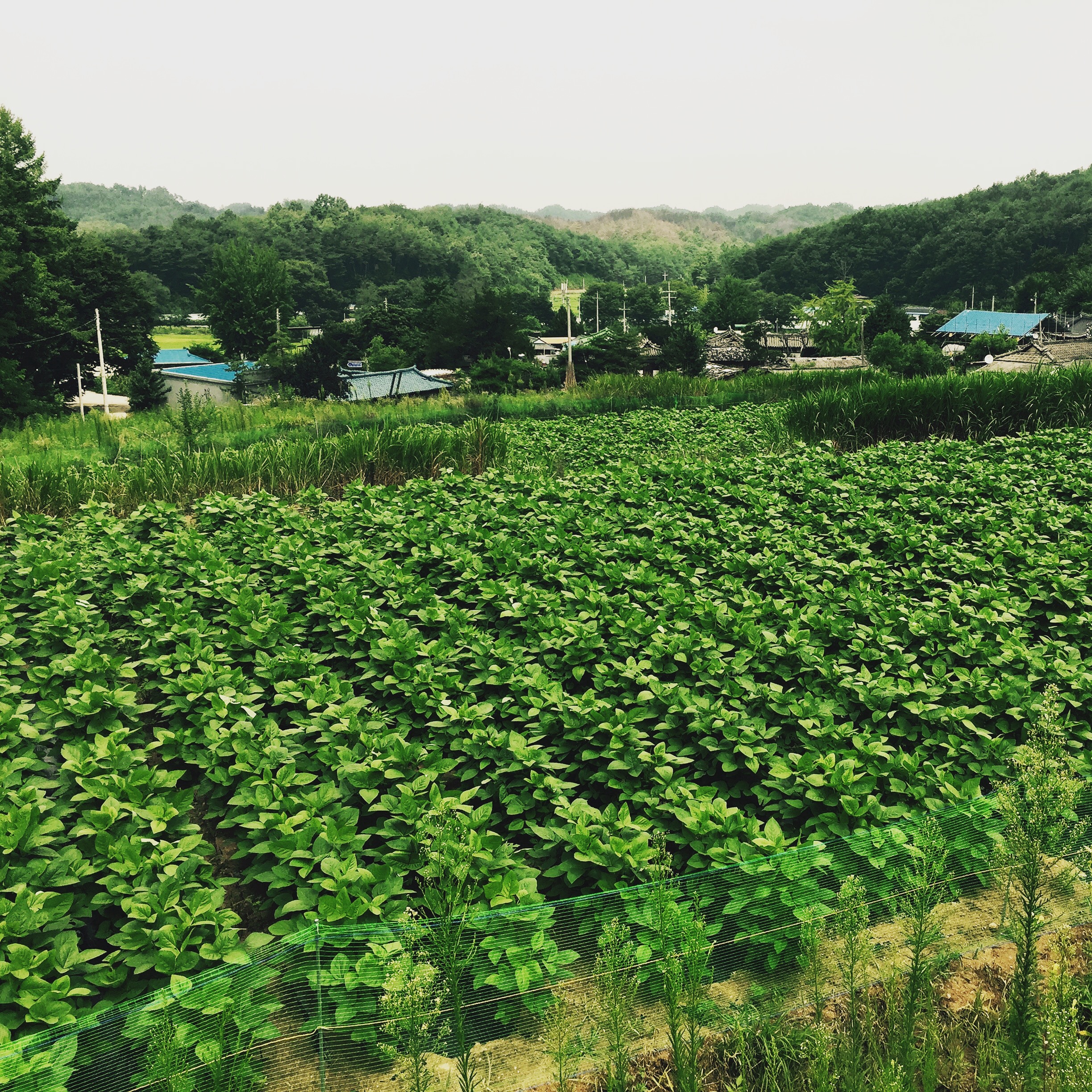 [빈나리] 두유 서리태, 160ml, 15개 - 상세 이미지 3